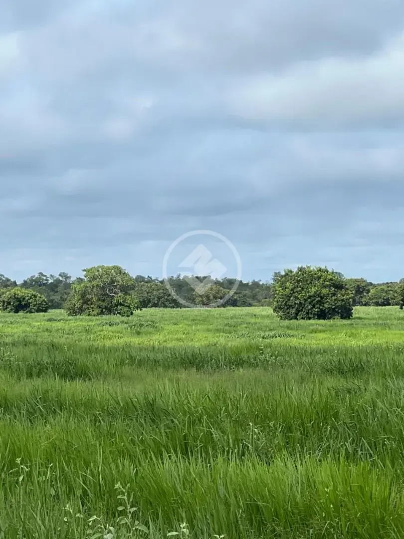 Imagem 3 - Fazenda em Centro, Cocalinho - MT