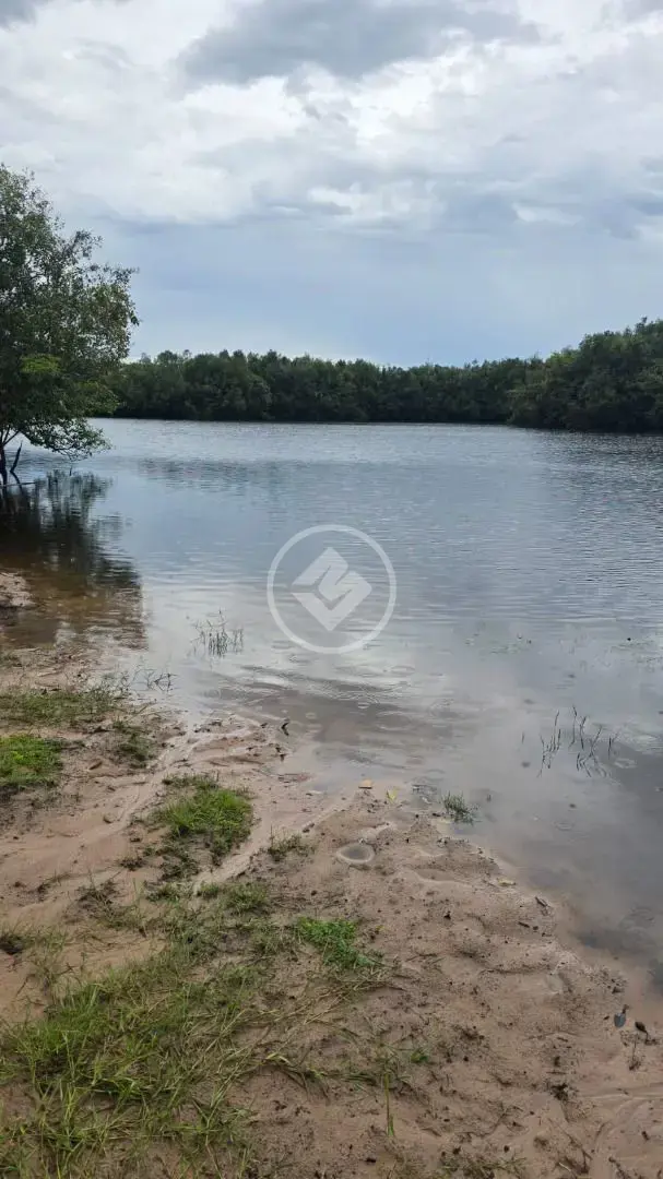 Imagem 1 - Fazenda em Centro, Cocalinho - MT