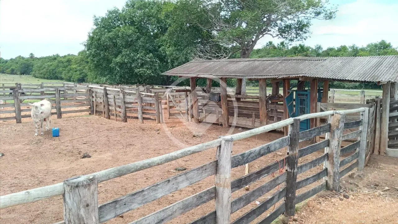 Imagem 5 - Fazenda em Centro, Cocalinho - MT
