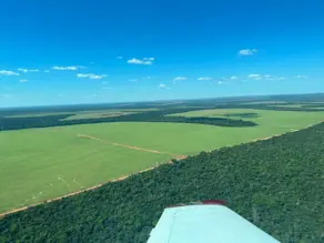 Fazenda BELA VISTA, Nova Mutum - MT — foto 1