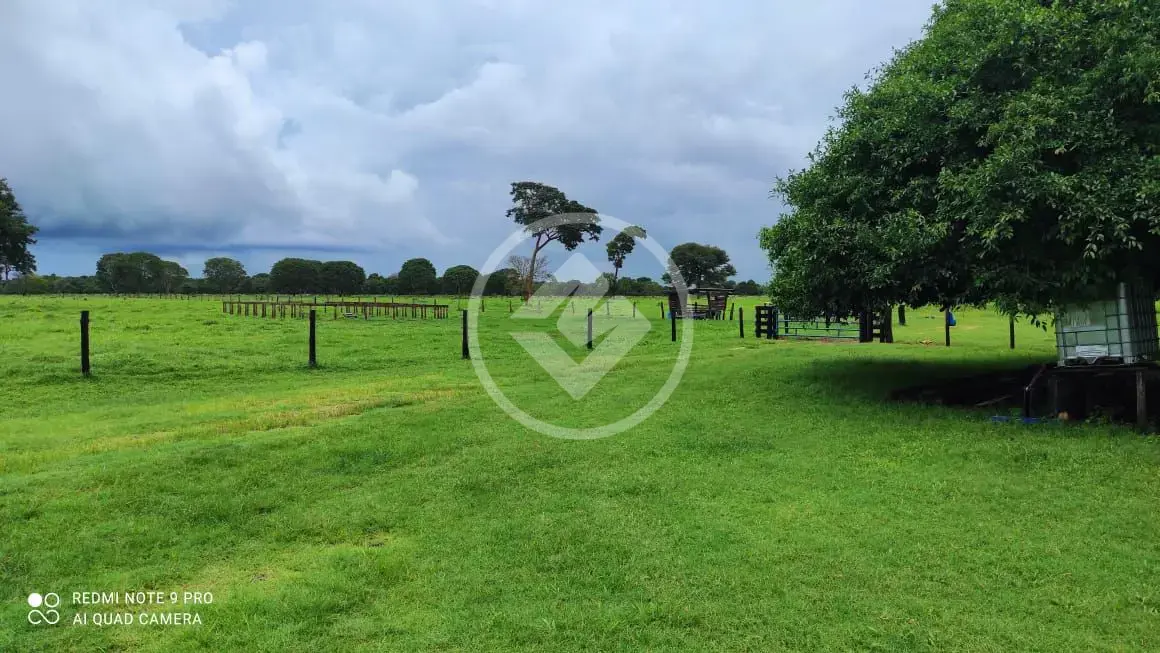 Imagem 1 - Fazenda em Centro, Cocalinho - MT