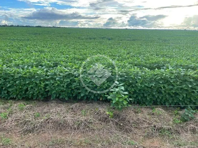 Imagem 1 - Fazenda em Jardim Filadelfia, Araguaína - TO
