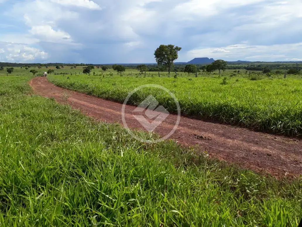 Imagem 1 - Fazenda em Maria Joaquina, Pontal do Araguaia - MT