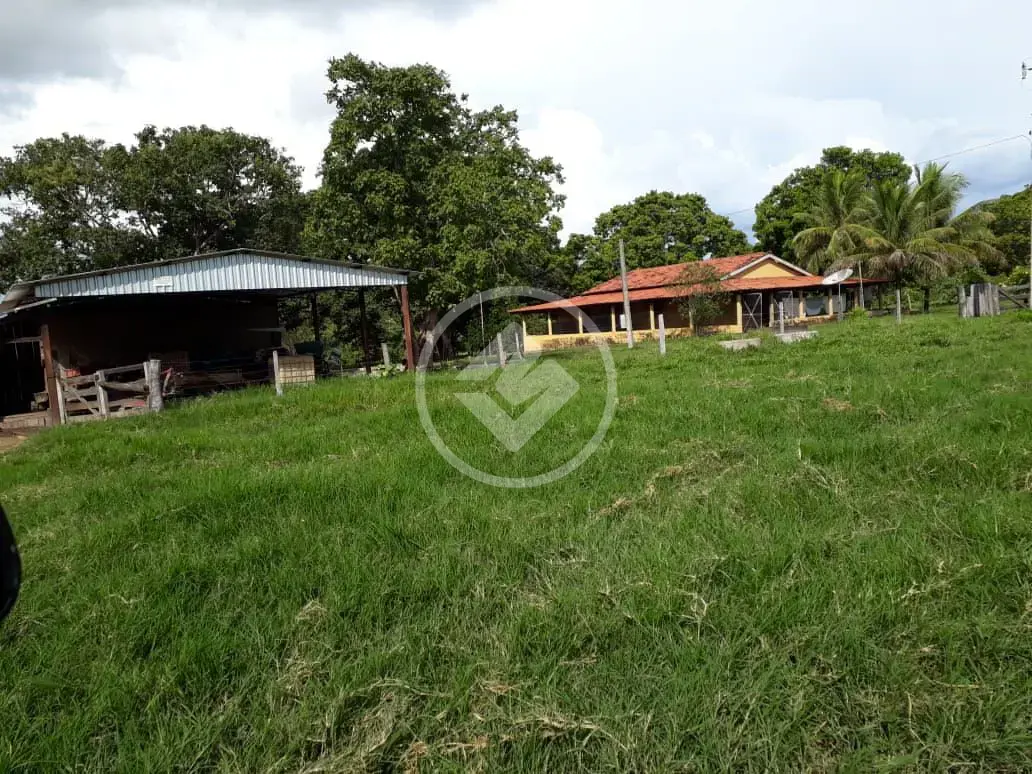 Imagem 1 - Fazenda em Maria Joaquina, Pontal do Araguaia - MT