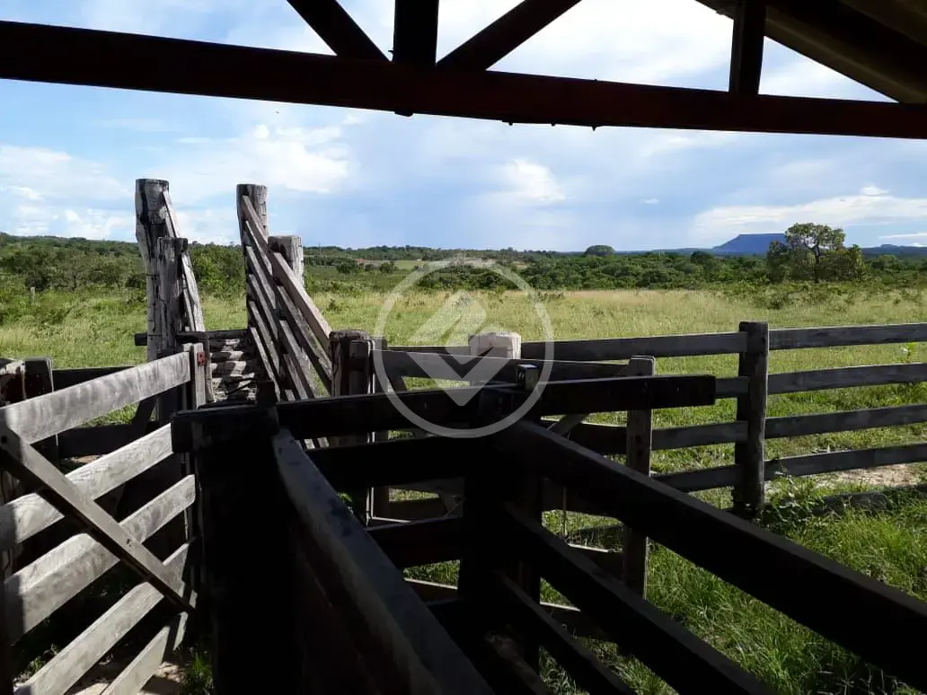 Imagem 2 - Fazenda em Maria Joaquina, Pontal do Araguaia - MT