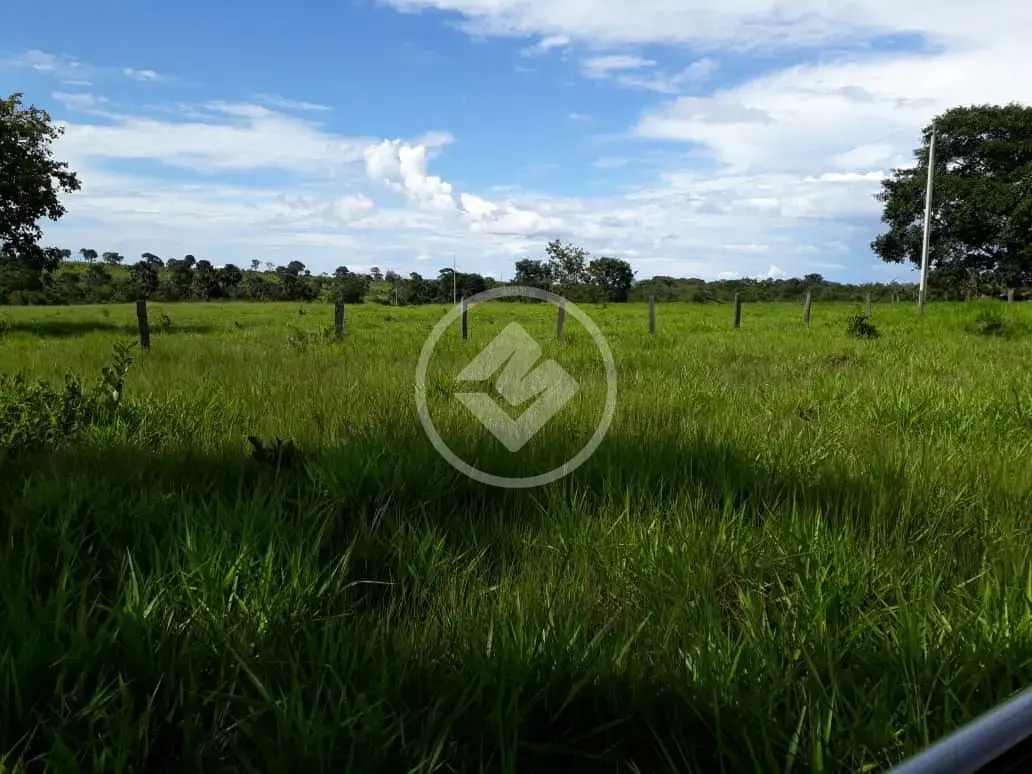 Imagem 3 - Fazenda em Maria Joaquina, Pontal do Araguaia - MT