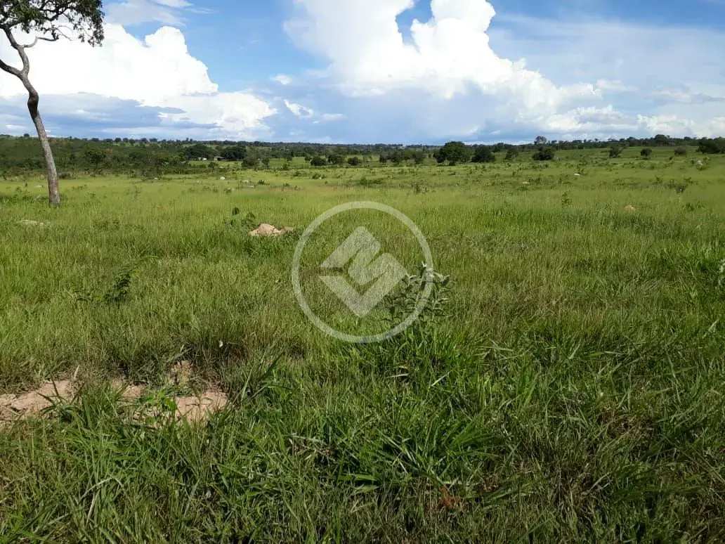 Imagem 4 - Fazenda em Maria Joaquina, Pontal do Araguaia - MT