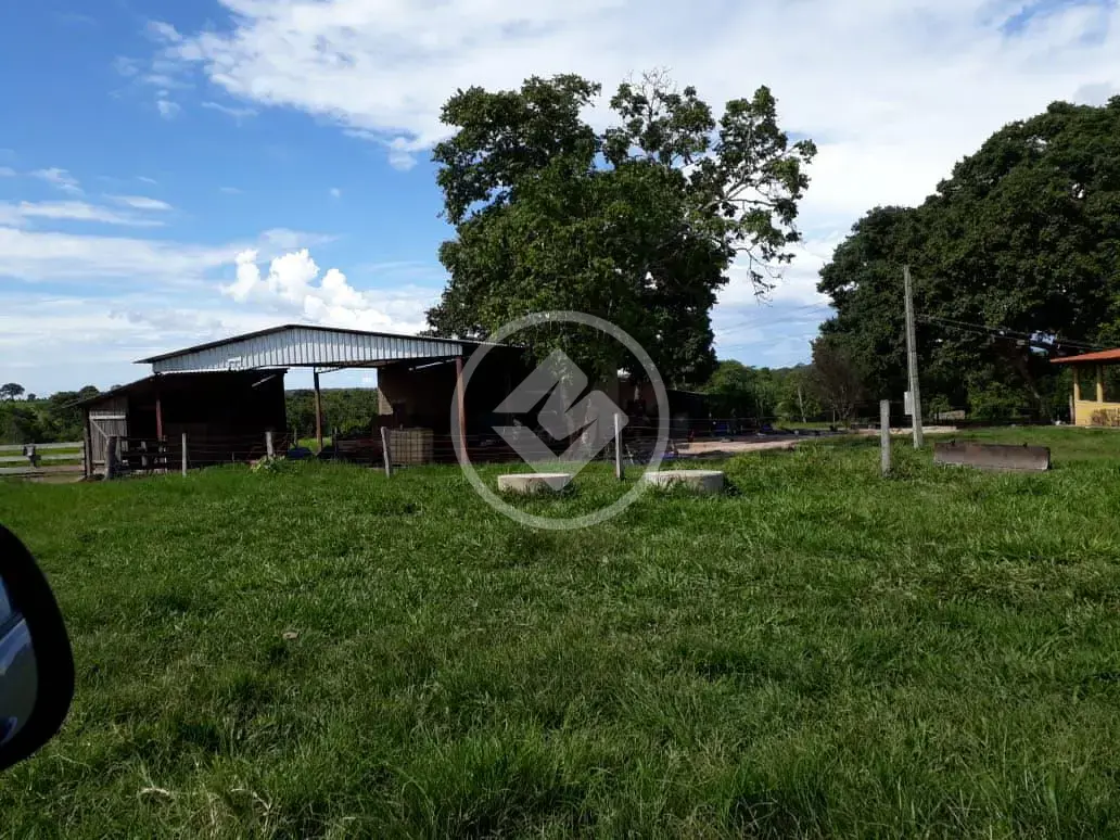 Imagem 5 - Fazenda em Maria Joaquina, Pontal do Araguaia - MT
