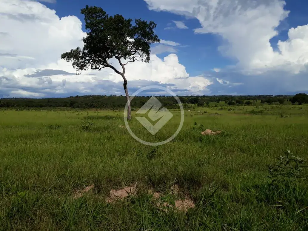Imagem 6 - Fazenda em Maria Joaquina, Pontal do Araguaia - MT