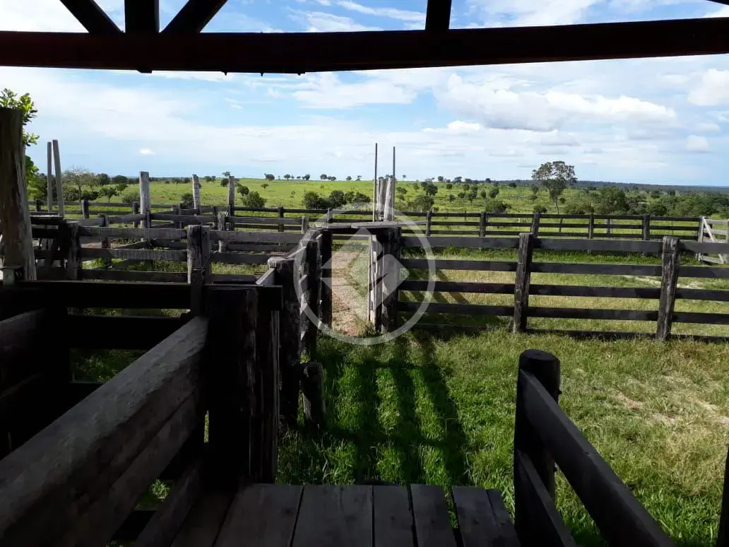 Image 12 - Fazenda em Maria Joaquina, Pontal do Araguaia - MT