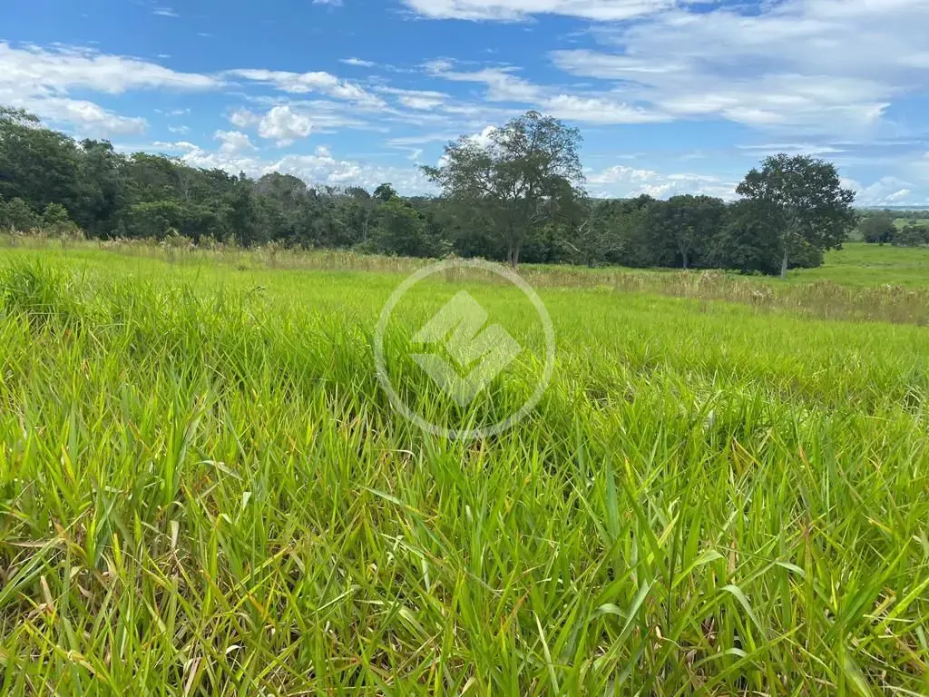 Imagem 1 - Fazenda em Maria Joaquina, Pontal do Araguaia - MT