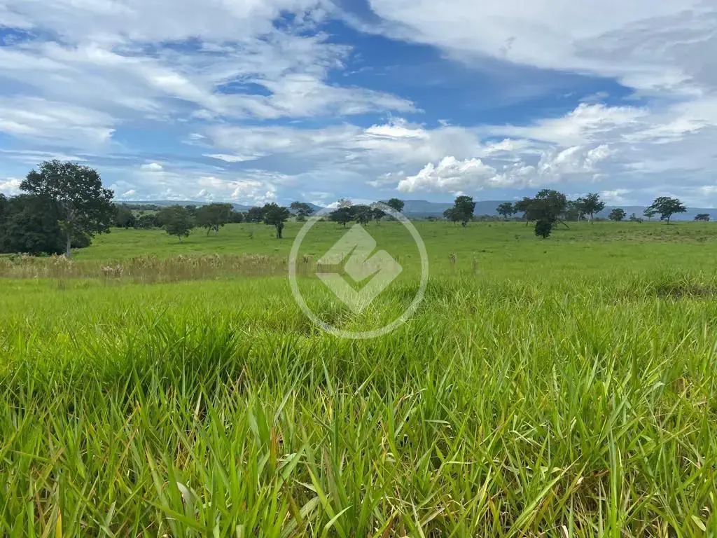 Imagem 1 - Fazenda em Maria Joaquina, Pontal do Araguaia - MT