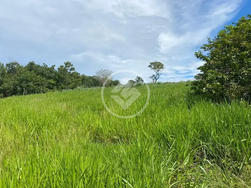 Imagem 2 - Fazenda em Maria Joaquina, Pontal do Araguaia - MT