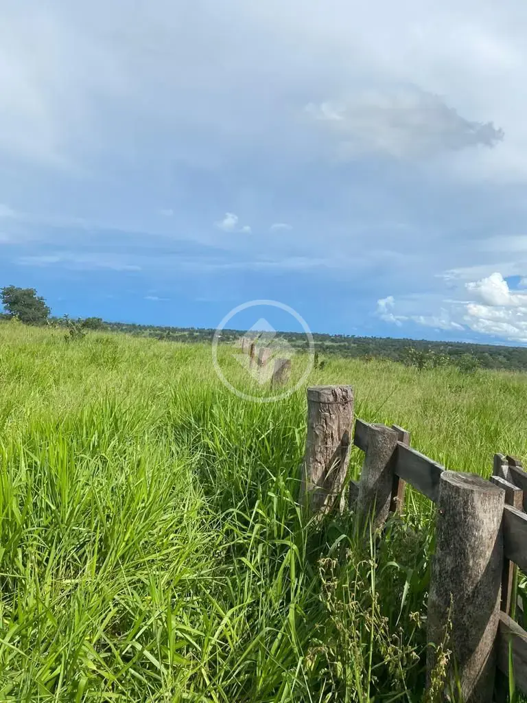 Imagem 3 - Fazenda em Maria Joaquina, Pontal do Araguaia - MT