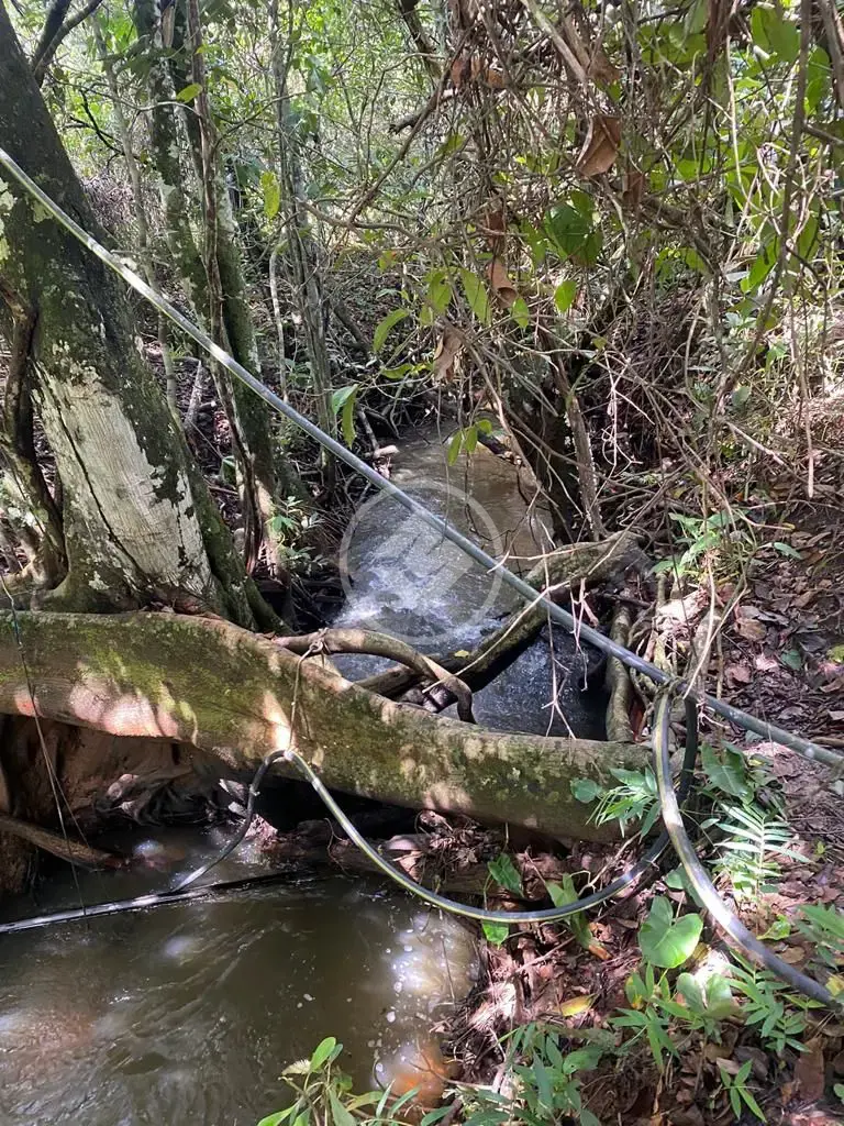 Imagem 4 - Fazenda em Maria Joaquina, Pontal do Araguaia - MT