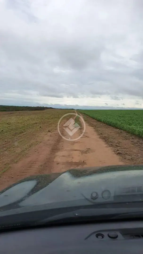 Imagem 6 - Fazenda em BAIRRO CONVERSAO, CIDADE CONVERSAO - MT