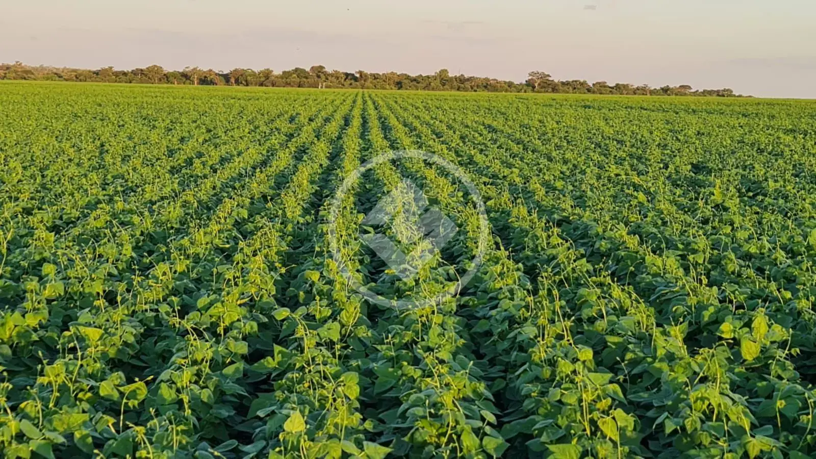 Imagem 2 - Fazenda em EXTENSAO URBANA, Gaúcha do Norte - MT