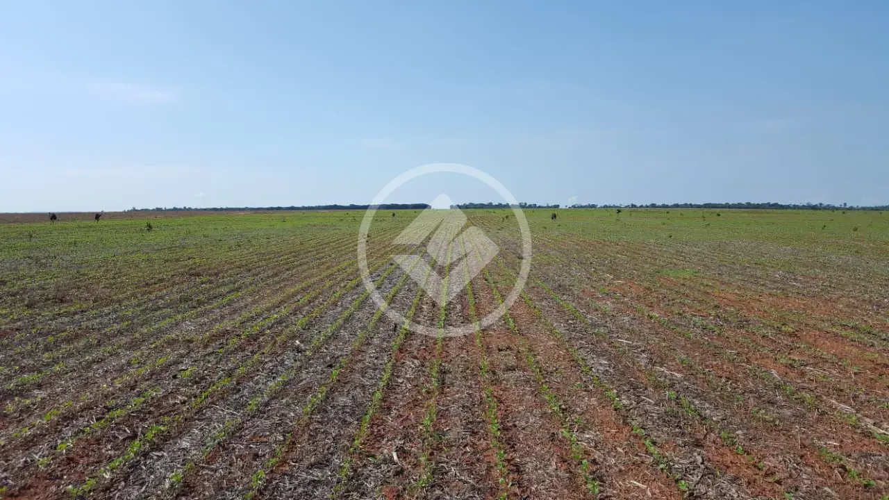 Imagem 4 - Fazenda em EXTENSAO URBANA, Gaúcha do Norte - MT