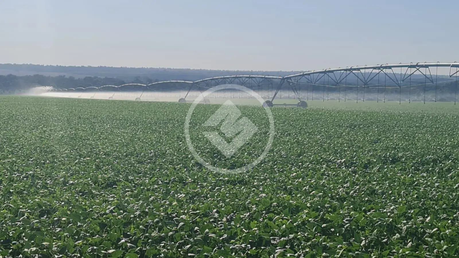 Imagem 6 - Fazenda em EXTENSAO URBANA, Gaúcha do Norte - MT
