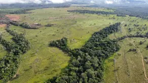 Fazenda Sena Marques, Barra do Garças - MT — foto 2
