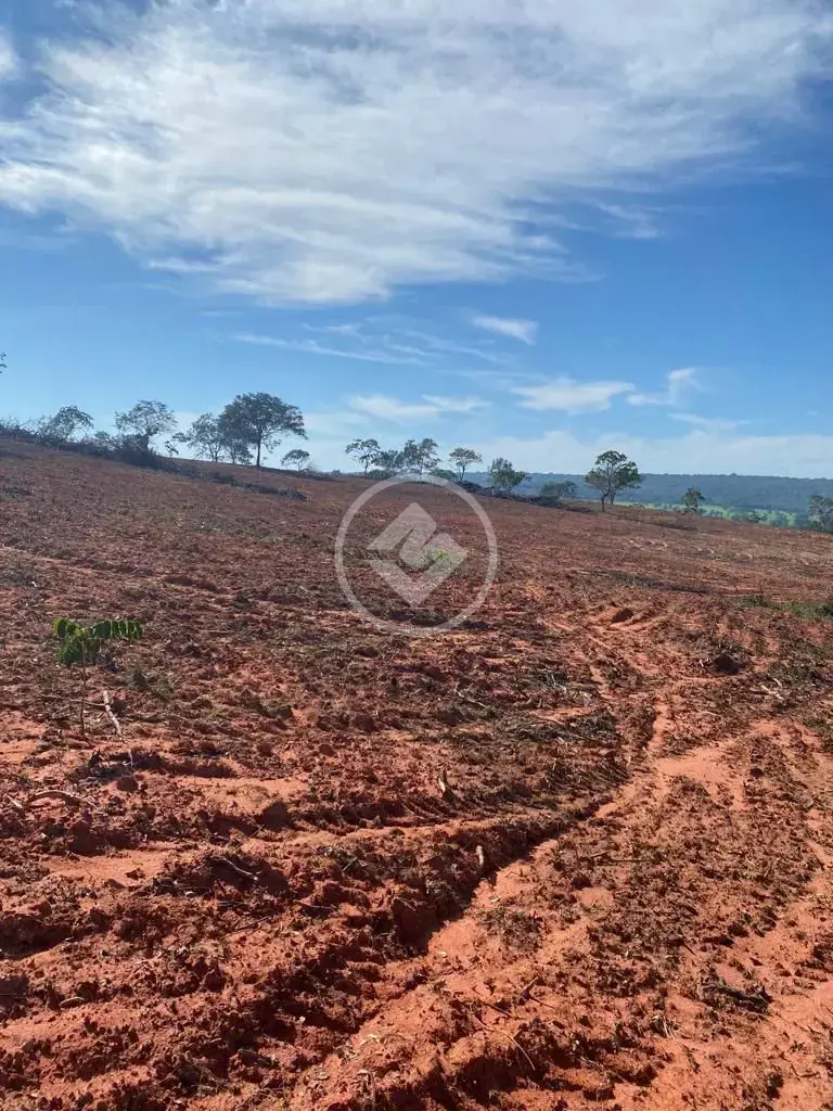 Imagem 4 - Fazenda em Sena Marques, Barra do Garças - MT