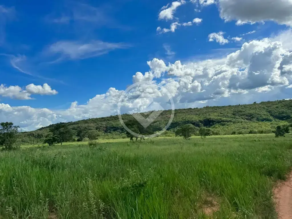 Imagem 6 - Fazenda em Sena Marques, Barra do Garças - MT