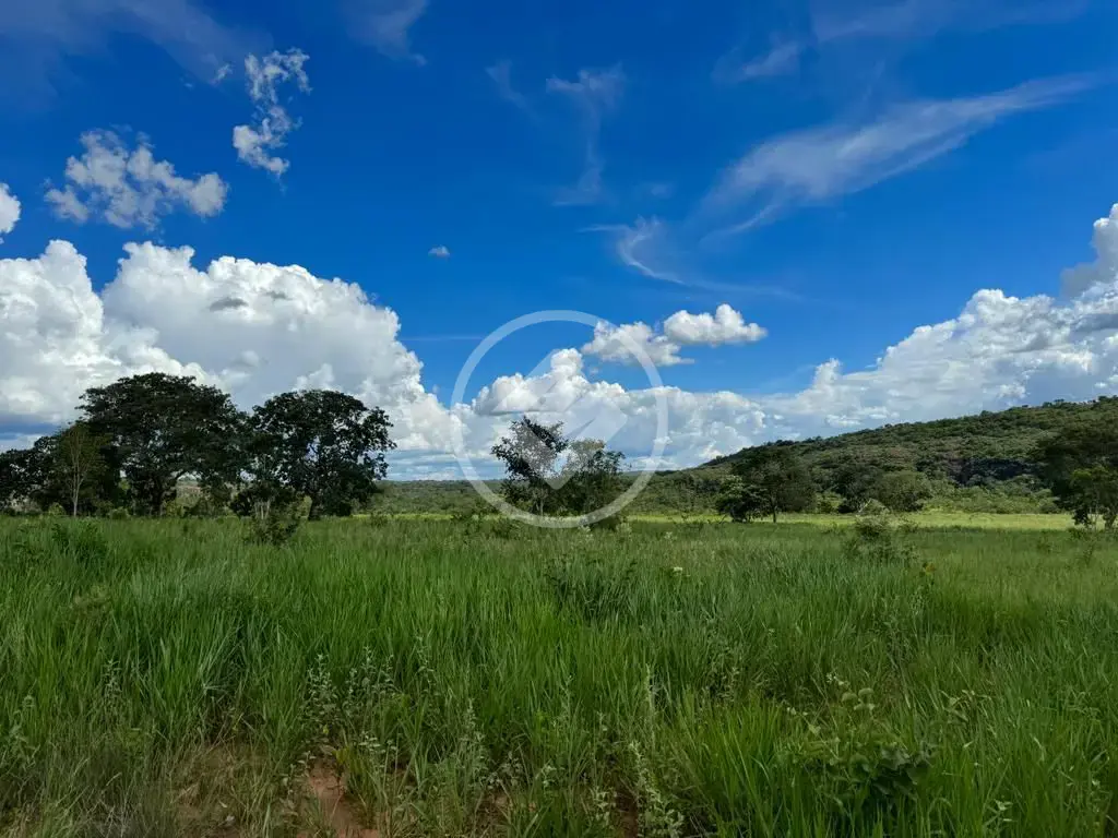 Image 12 - Fazenda em Sena Marques, Barra do Garças - MT