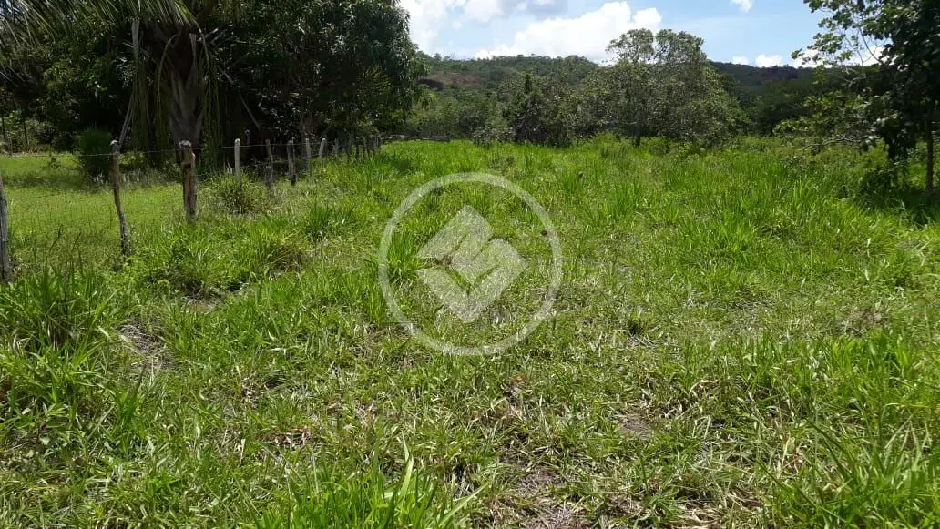 Imagem 2 - Fazenda em Centro, General Carneiro - MT