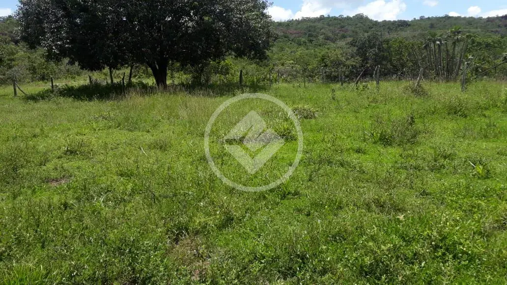 Imagem 4 - Fazenda em Centro, General Carneiro - MT
