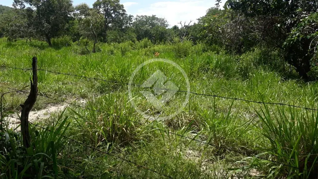 Imagem 6 - Fazenda em Centro, General Carneiro - MT
