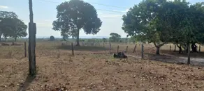 Fazenda Sena Marques, Barra do Garças - MT — foto 2