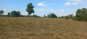 Imagem 2 - Fazenda em Sena Marques, Barra do Garças - MT