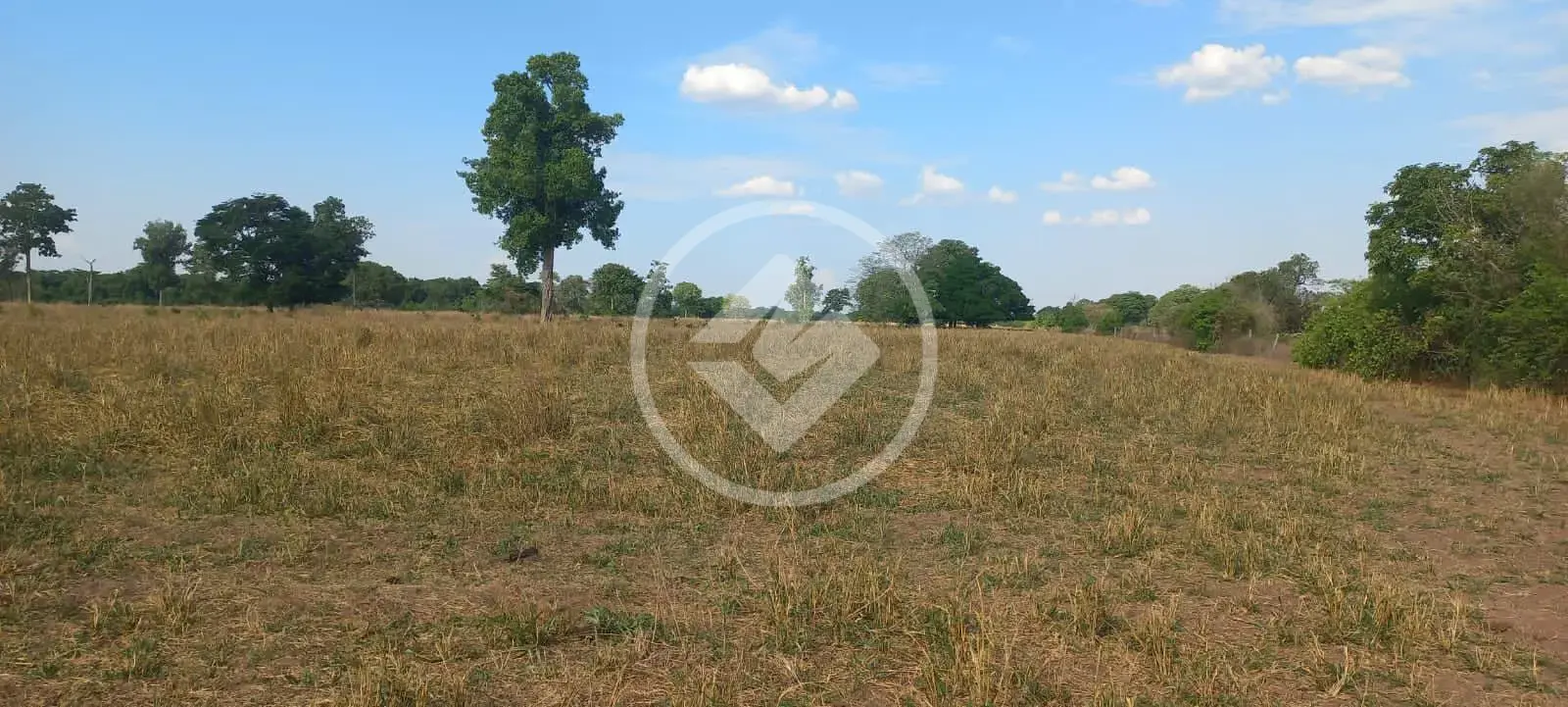 Imagem 2 - Fazenda em Sena Marques, Barra do Garças - MT