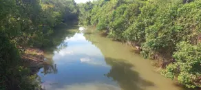 Imagem 3 - Fazenda em Sena Marques, Barra do Garças - MT