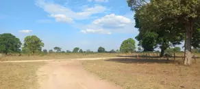 Imagem 5 - Fazenda em Sena Marques, Barra do Garças - MT