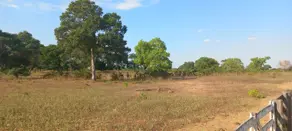 Imagem 6 - Fazenda em Sena Marques, Barra do Garças - MT