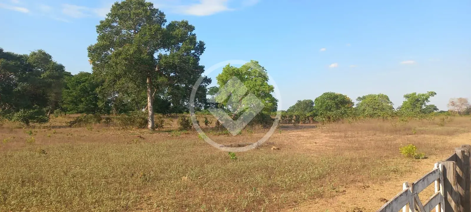 Imagem 6 - Fazenda em Sena Marques, Barra do Garças - MT