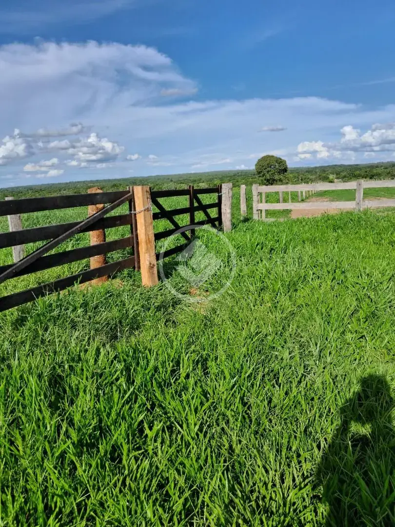 Imagem 1 - Fazenda em Maria Joaquina, Pontal do Araguaia - MT