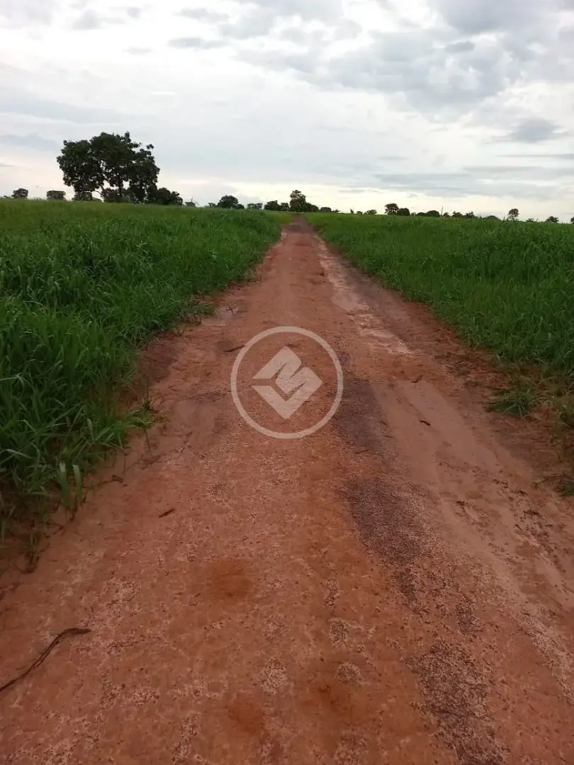 Imagem 4 - Fazenda em Maria Joaquina, Pontal do Araguaia - MT