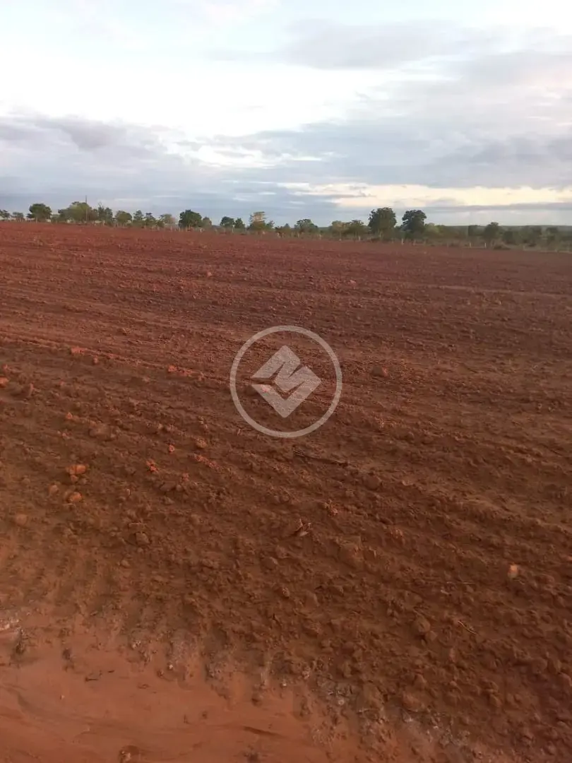 Imagem 5 - Fazenda em Maria Joaquina, Pontal do Araguaia - MT