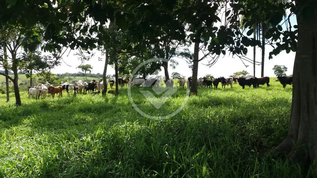 Image 8 - Fazenda em PARQUE INDUSTRIAL VETORASSO, Rondonópolis - MT