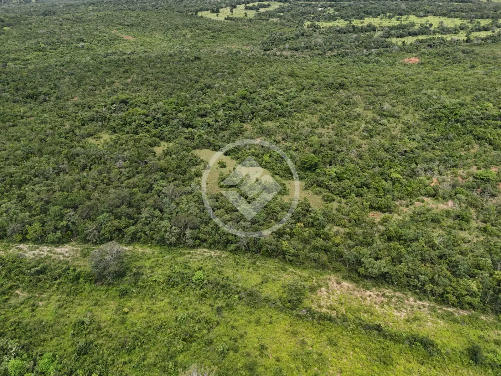 Imagem 4 - Fazenda em Maria Joaquina, Pontal do Araguaia - MT