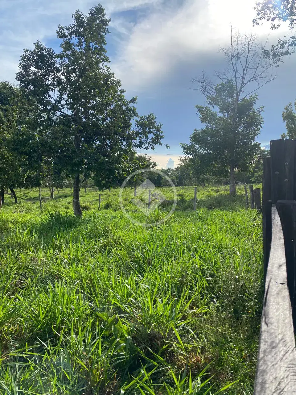 Imagem 1 - Fazenda em Maria Joaquina, Pontal do Araguaia - MT