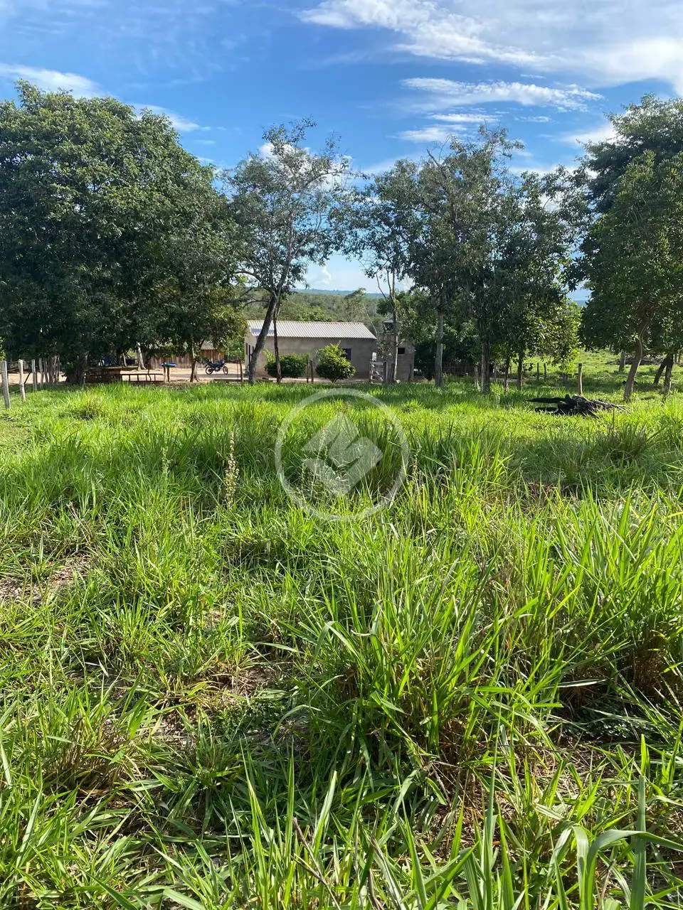 Imagem 1 - Fazenda em Maria Joaquina, Pontal do Araguaia - MT