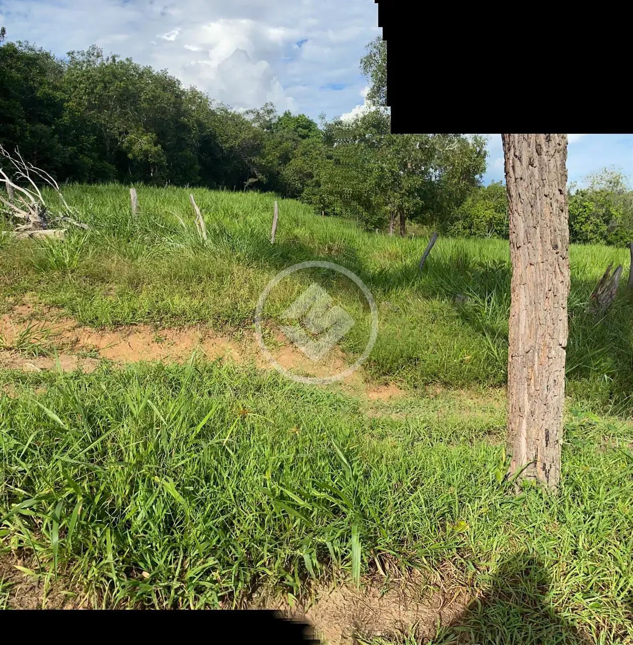 Image 12 - Fazenda em Maria Joaquina, Pontal do Araguaia - MT