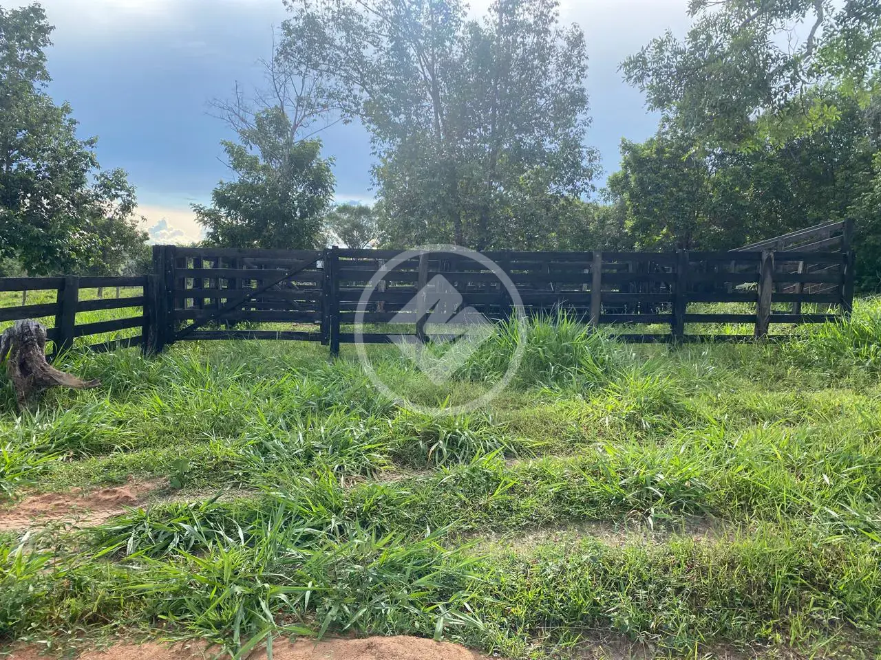 Imagem 6 - Fazenda em Maria Joaquina, Pontal do Araguaia - MT