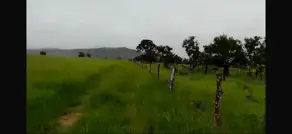 Imagem 5 - Fazenda em Sena Marques, Barra do Garças - MT