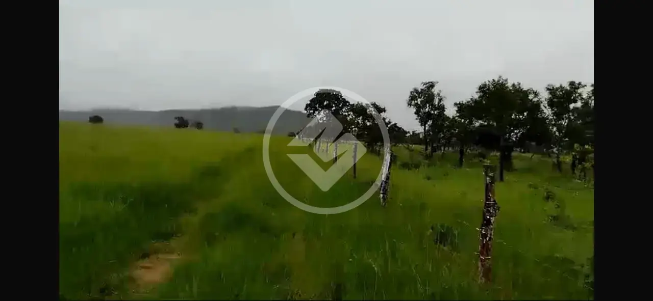 Imagem 5 - Fazenda em Sena Marques, Barra do Garças - MT