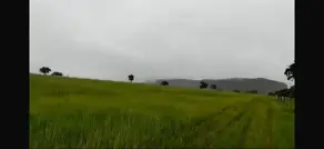Imagem 6 - Fazenda em Sena Marques, Barra do Garças - MT
