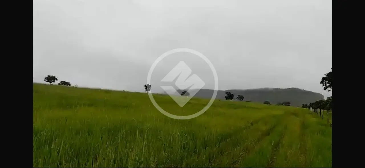 Imagem 6 - Fazenda em Sena Marques, Barra do Garças - MT